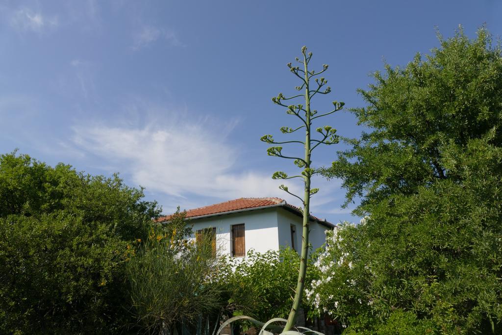 Traditional Stonehouse Potistika Exterior foto